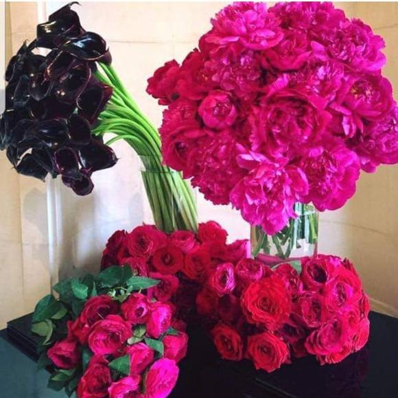 Meet your Posher, Sonja - Picture 1 of 1